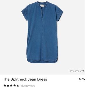 Everlane The Splitneck Jean Dress